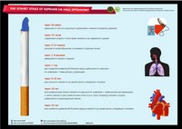 Инфографики
